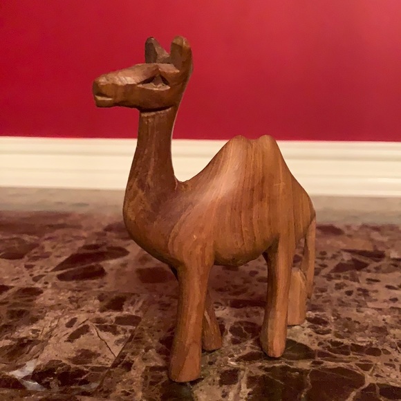 Camel - Picture 1 of 4